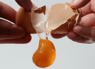 Daily Bite Wellness Tip - Egg Yolk feature