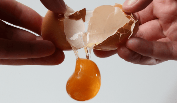 Daily Bite Wellness Tip - Egg Yolk feature