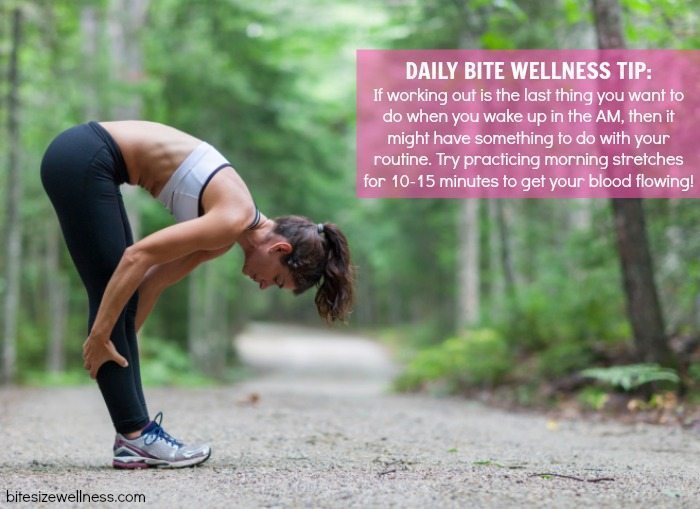 Daily Bite Wellness Tip Morning Stretching