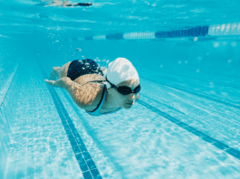 Daily Bite Wellness Tip Swimming Benefits Feat Image
