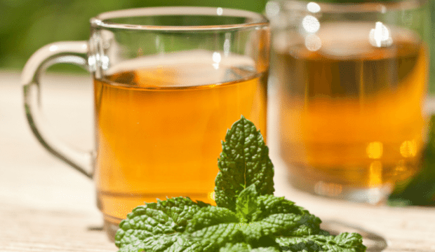 Daily Bite Wellness Tips Peppermint Tea Benefits