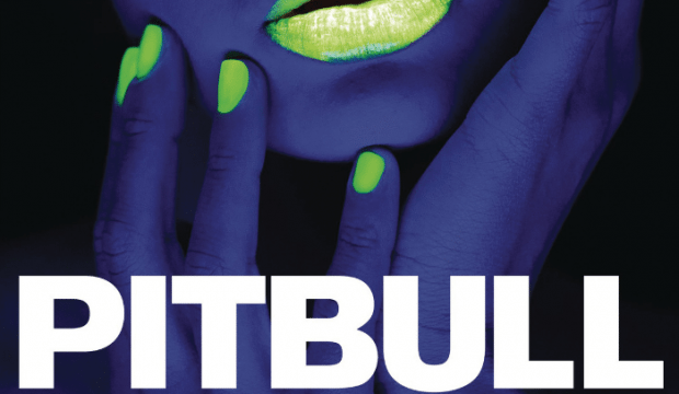 bite size wellness music monday pitbull wild wild love.png