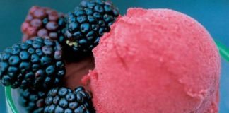 Raspberry-Sorbet-for-Dinner-and-Movie-Summer-Lovin feat image