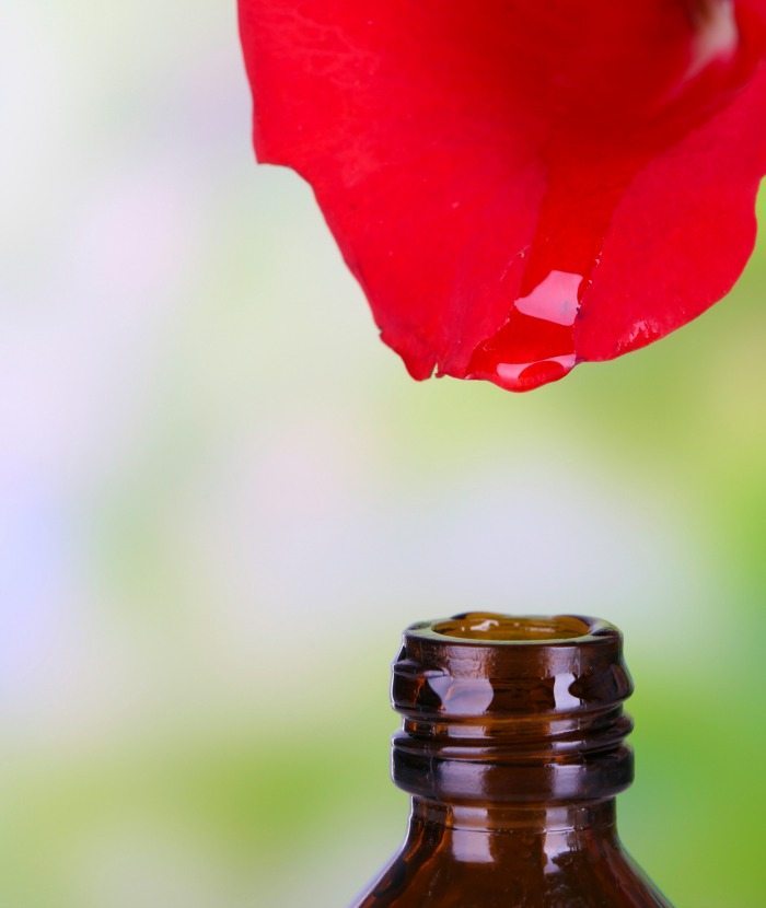 rose oil and rose water benefits and properties