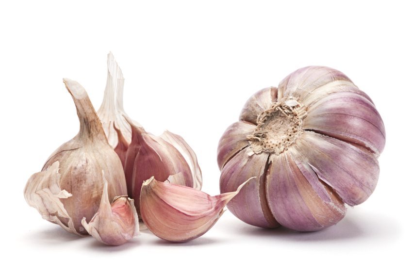 garlic prevent colds
