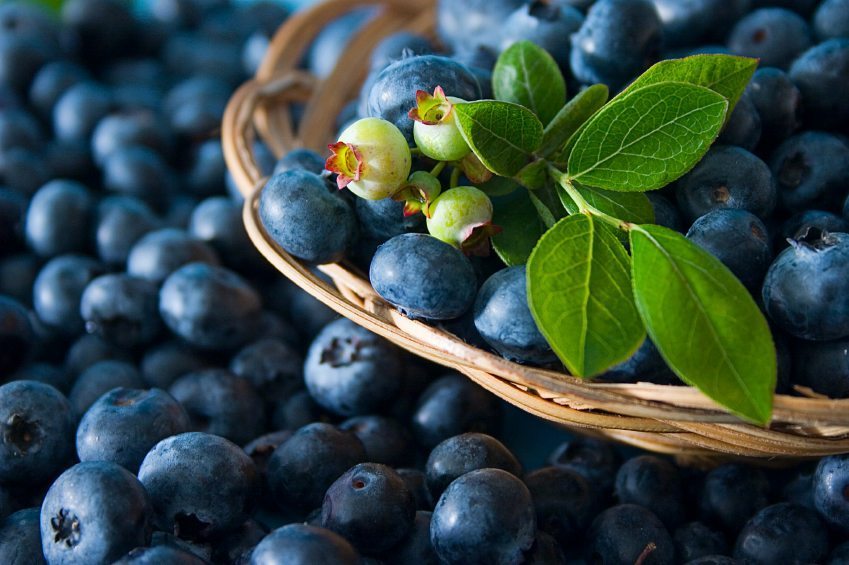 blueberries benefits