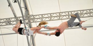 new york trapeze school washington dc class review