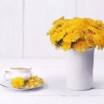 dandelion tea benefits