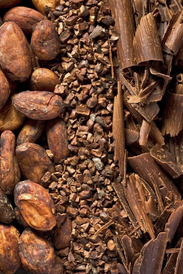 chocolate, chocolate benefits