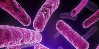 Legionnaire's Disease, outbreak, facts