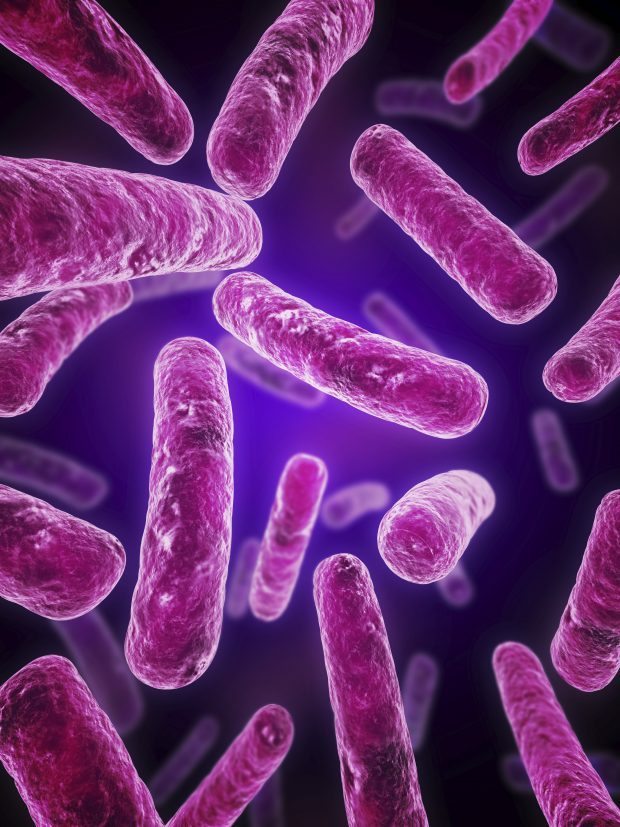 Legionnaire's Disease, outbreak, facts