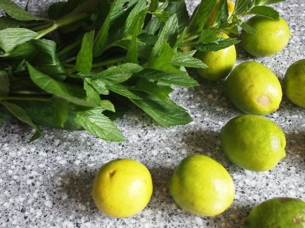 mint mojito recipe