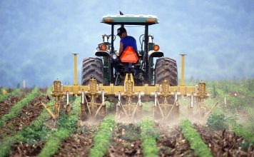 Agriculture labor shortage